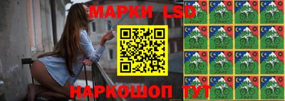 амф Сланцы