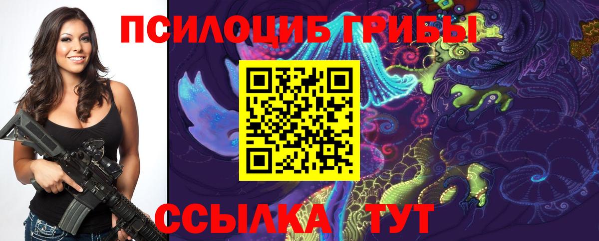 Псилоцибиновые грибы Psilocybe  Вход с VPN  Ноябрьск  Галлюциногенные грибы Psilocybe 