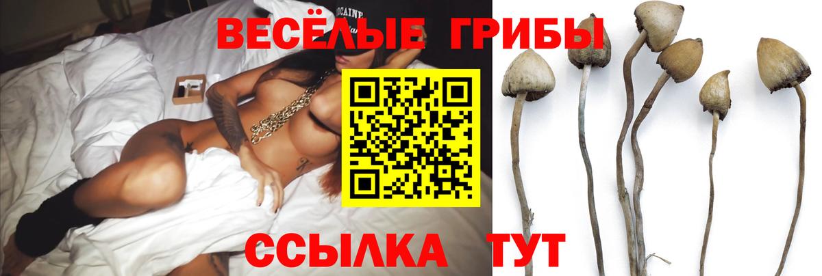 Псилоцибиновые грибы Magic Shrooms Ноябрьск
